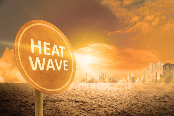Rising temperatures across the world are causing heatwaves to become more frequent and dangerous.